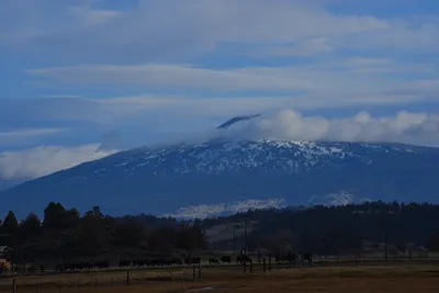 DSC_6043 (Large).JPG